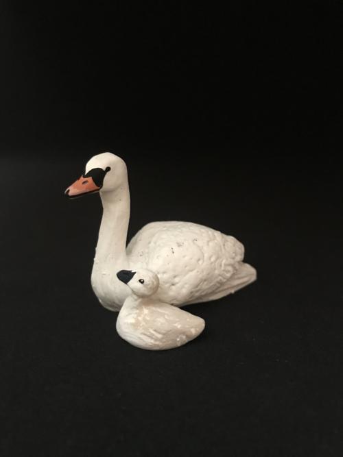 Cygne et son petit    18 €