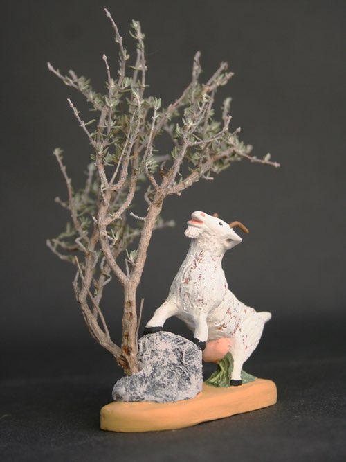 Chèvre perchée   13 €